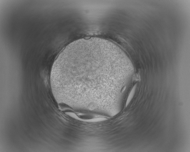 X0000074041444200609181940