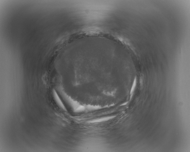 X0000074041445200609181940