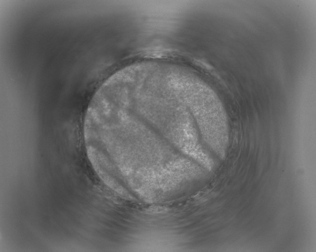 X0000074041446200609181940