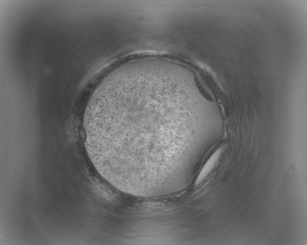 X0000074041448200609181940