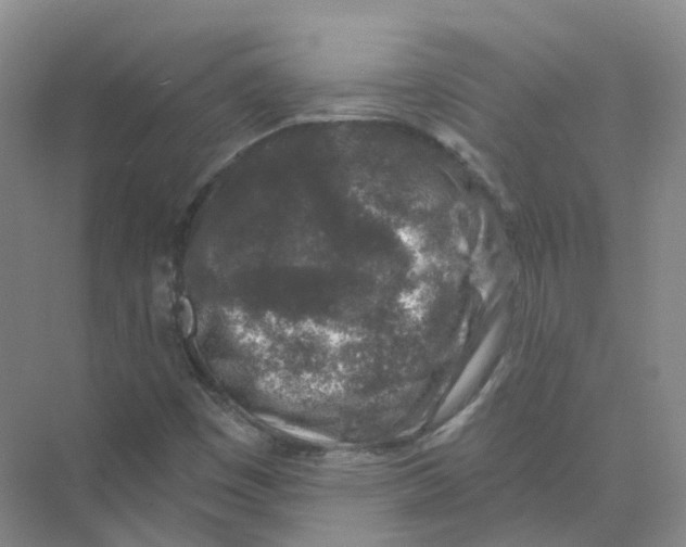 X0000074041449200609181940