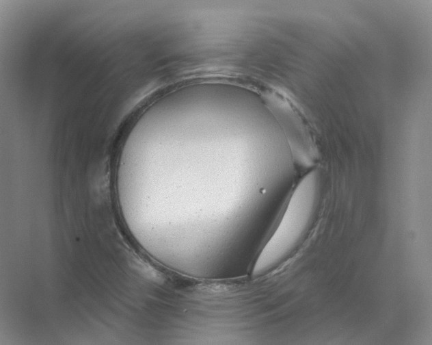 X0000074041450200609181940