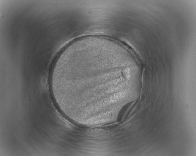 X0000074041452200609181940