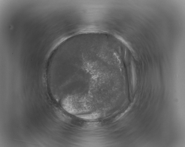 X0000074041453200609181940