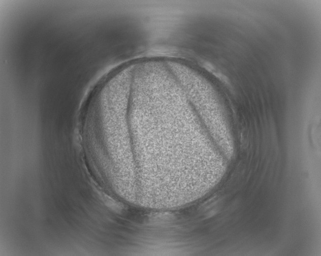 X0000074041454200609181940