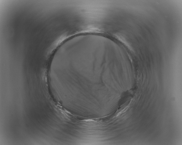 X0000074041455200609181940