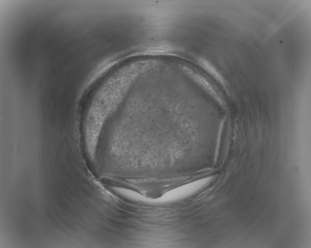 X0000074041456200609181940