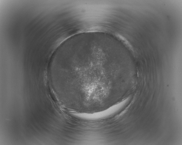 X0000074041457200609181940