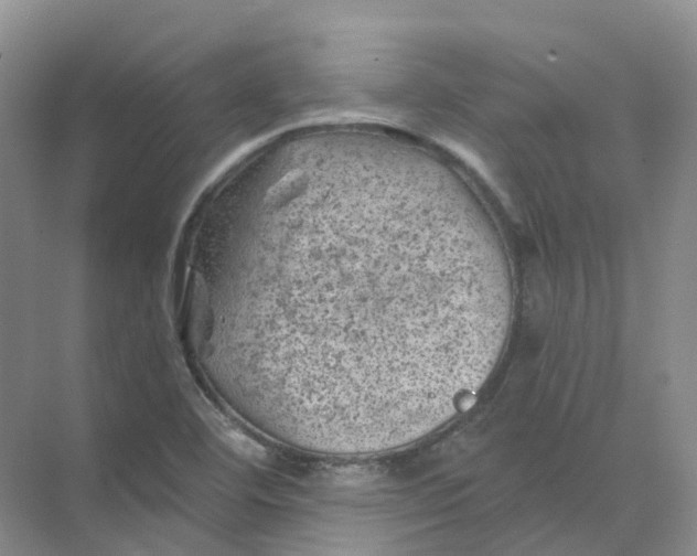 X0000074041460200609181940