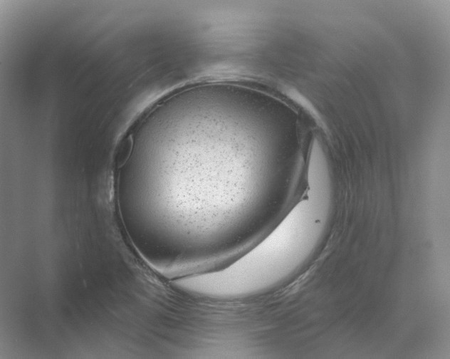 X0000074041461200609181940