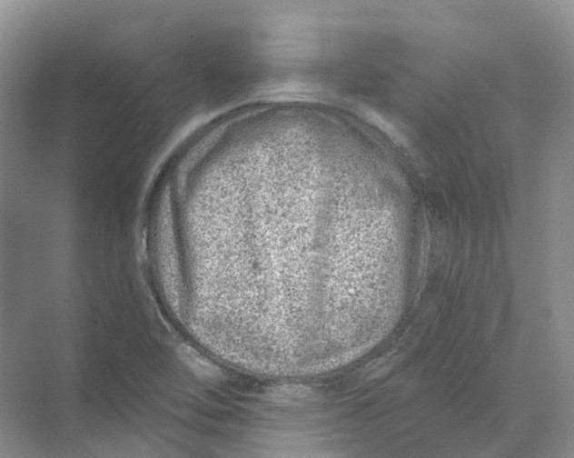 X0000074041462200609181940