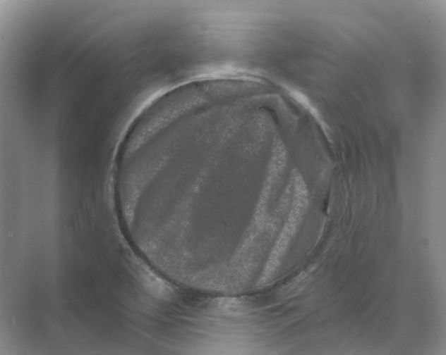 X0000074041463200609181940