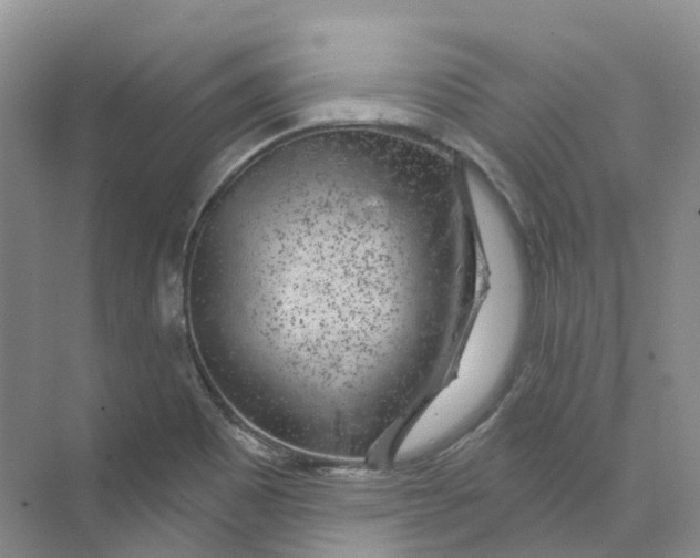 X0000074041465200609181940