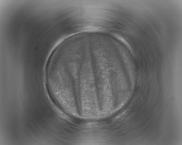 X0000074041467200609181940