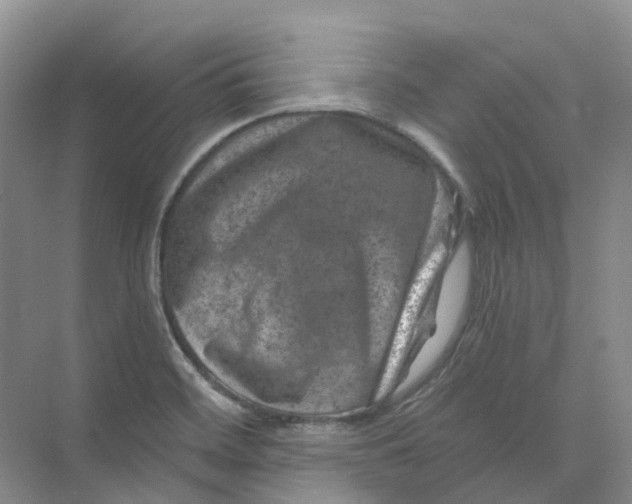 X0000074041468200609181940