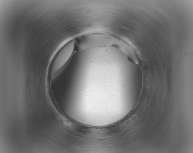 X0000074041469200609181940