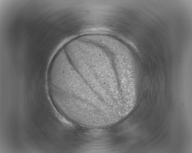 X0000074041470200609181940