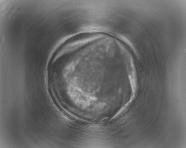 X0000074041472200609181940