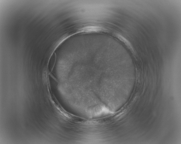 X0000074041473200609181940