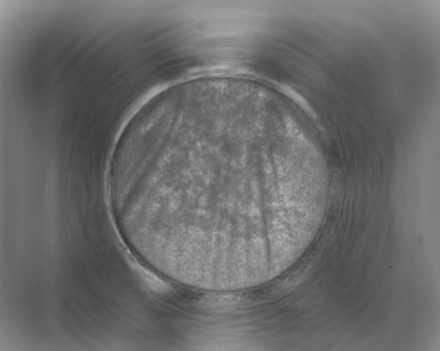 X0000074041474200609181940