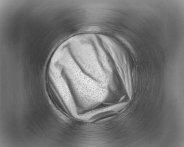 X0000074041475200609181940