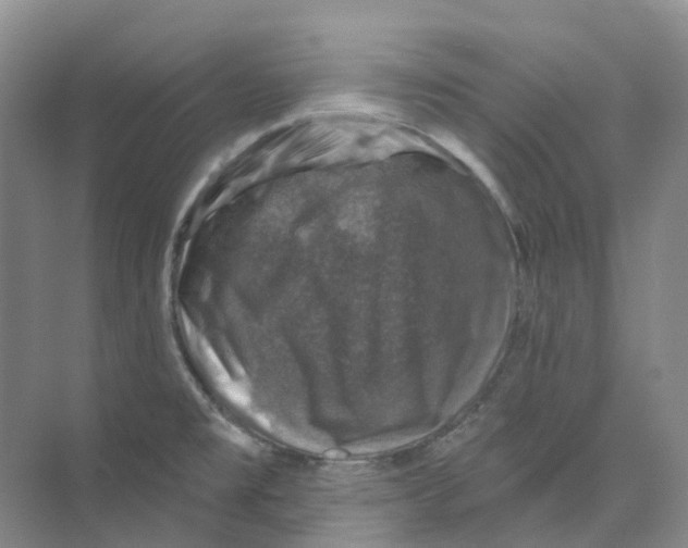 X0000074041477200609181940