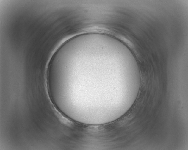 X0000074041478200609181940