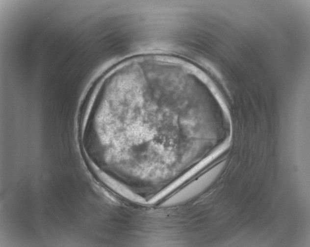 X0000074041480200609181939