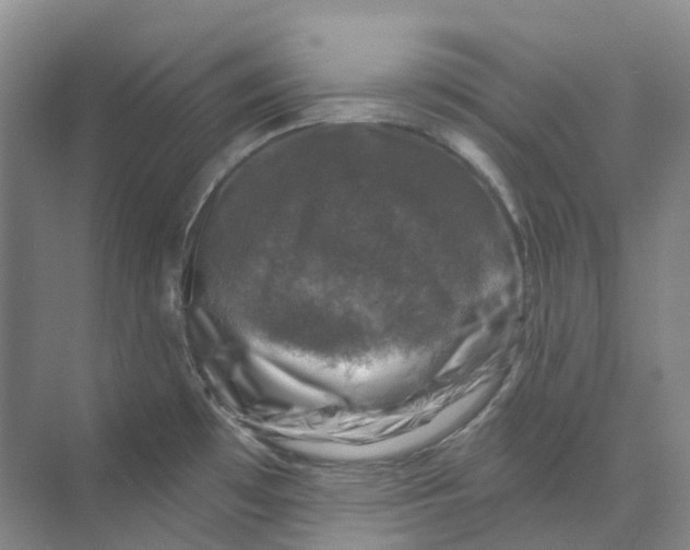 X0000074041481200609181939