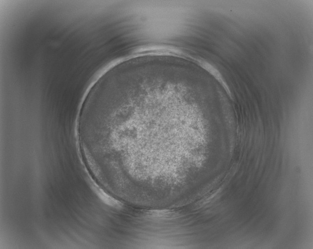 X0000074041482200609181939