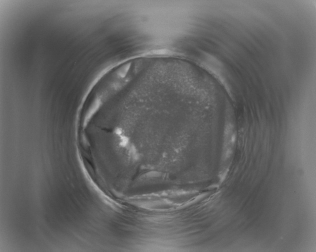 X0000074041483200609181939