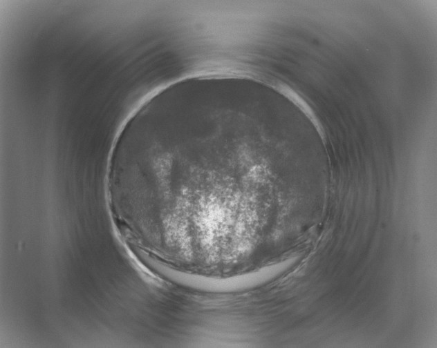 X0000074041485200609181939