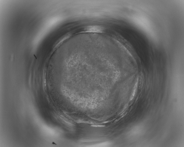 X0000074041487200609181939