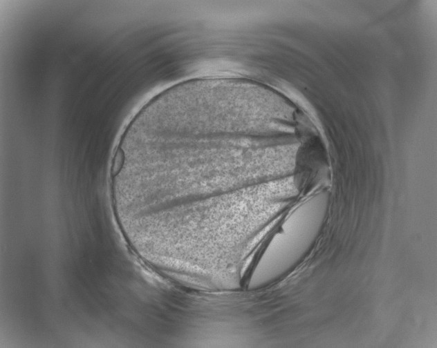 X0000074041488200609181939