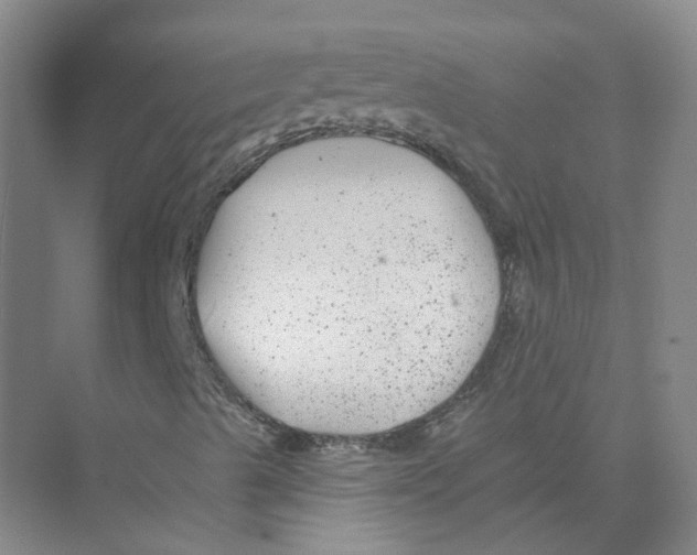 X0000074041489200609181939