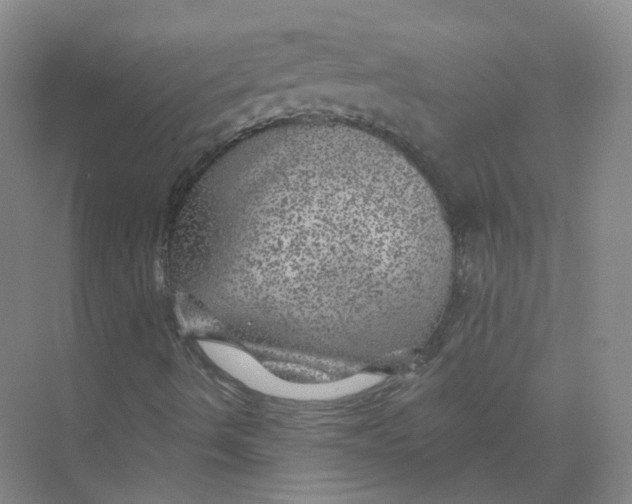 X0000074041490200609181939