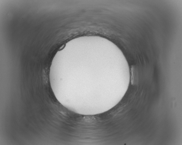 X0000074041491200609181939