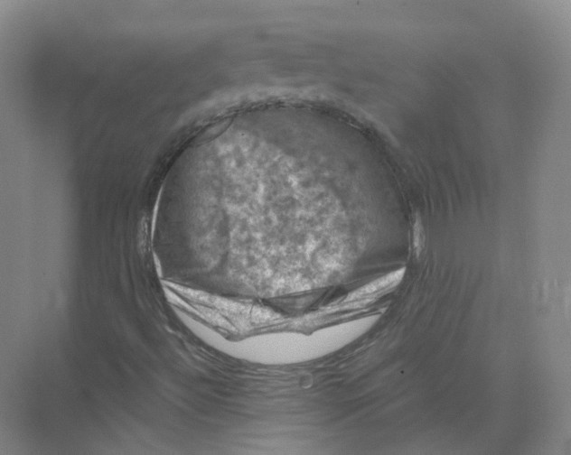 X0000074041492200609181939