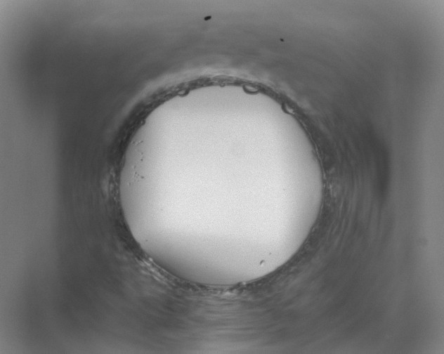 X0000074041495200609181939