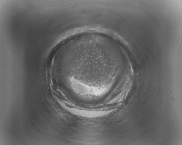 X0000074041496200609181939