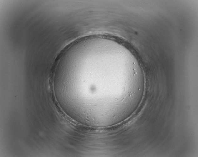 X0000074041497200609181939