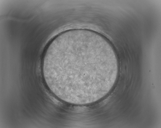 X0000074041498200609181939