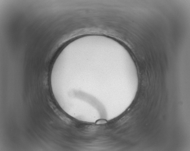 X0000074041499200609181939