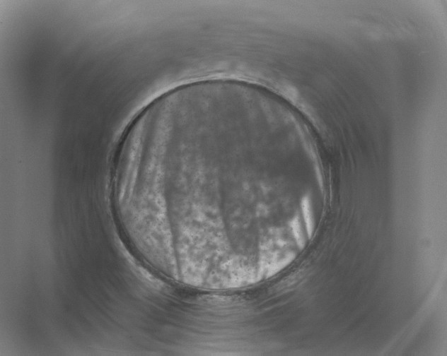 X0000074041500200609181939