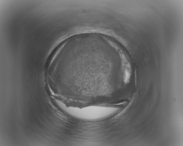 X0000074041501200609181939