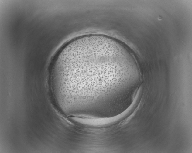 X0000074041502200609181939