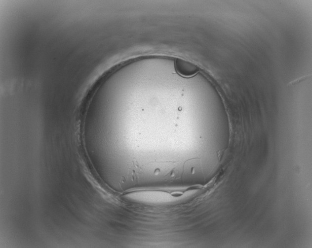 X0000074041503200609181939