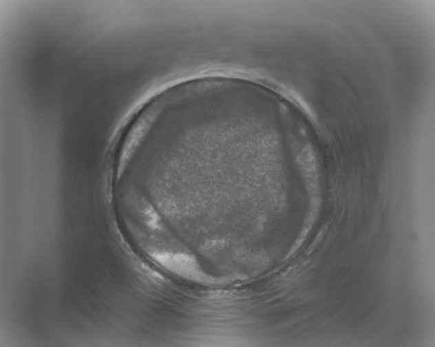 X0000074041504200609181939