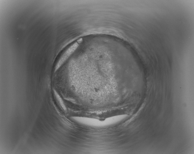 X0000074041505200609181939