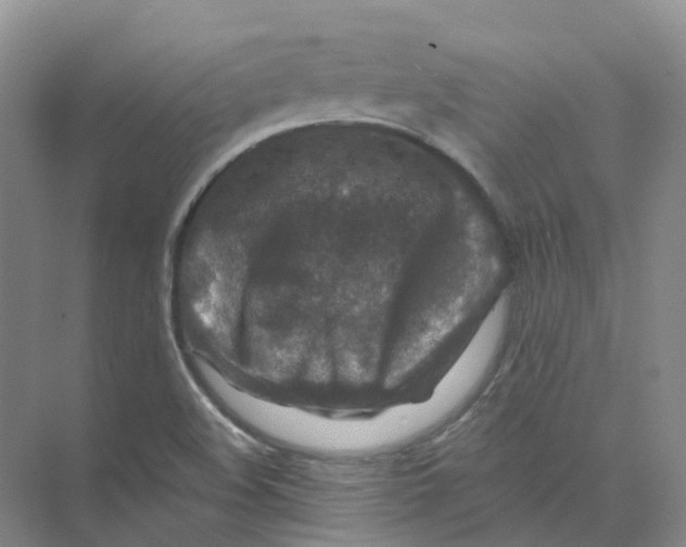 X0000074041508200609181939